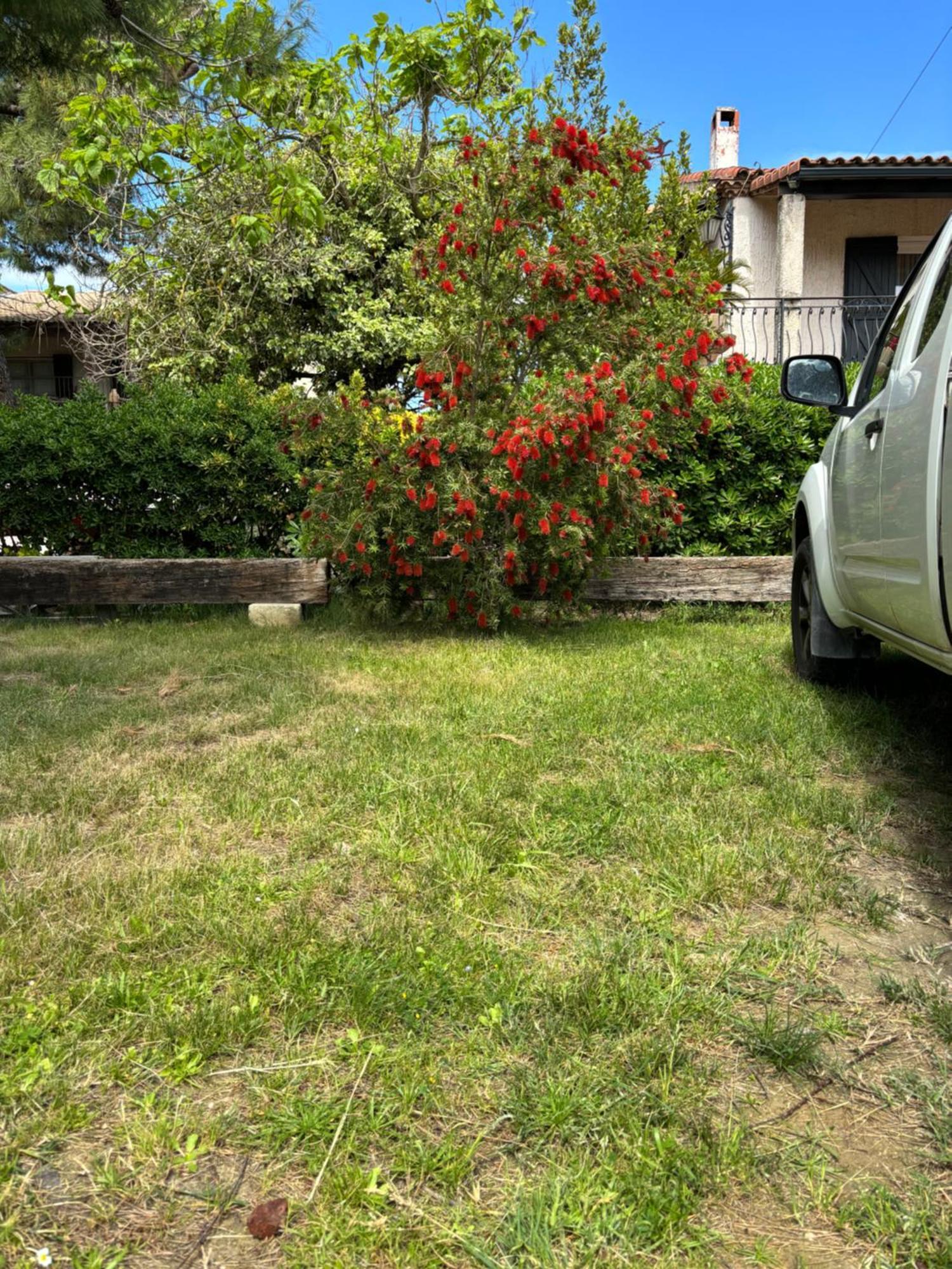 Les Flo Location Apartment Aigues-Mortes Exterior foto